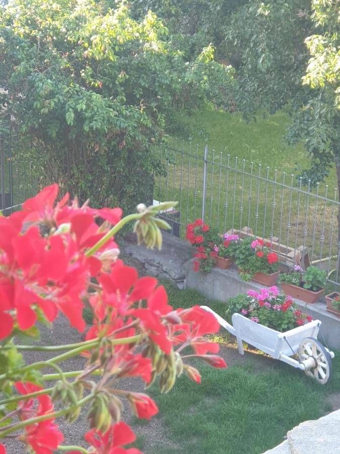 Bed and Breakfast Antica Casa Occitana Sampeyre Zewnętrze zdjęcie